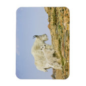 USA, Colorado, Rocky Mountains, Mount Evans, Magnet (Vertikal)