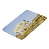 USA, Colorado, Rocky Mountains, Mount Evans, Magnet (Linke Seite)