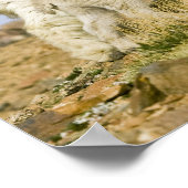 USA, Colorado, Rocky Mountains, Mount Evans, Poster (Ecke)