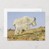 USA, Colorado, Rocky Mountains, Mount Evans, Postkarte (Vorne/Hinten)