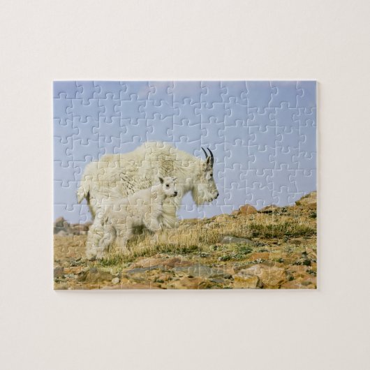 USA, Colorado, Rocky Mountains, Mount Evans, Puzzle (Horizontal)
