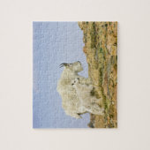 USA, Colorado, Rocky Mountains, Mount Evans, Puzzle (Vertikal)