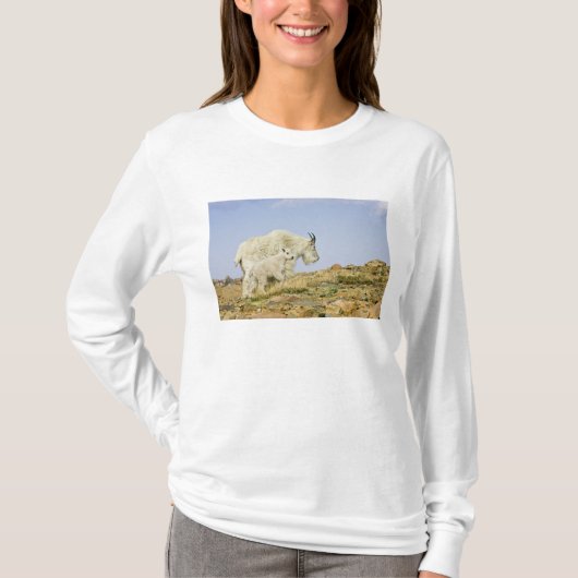 USA, Colorado, Rocky Mountains, Mount Evans, T-Shirt (Vorderseite)
