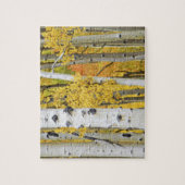 USA, Colorado, Rocky Mountains. Privataspekt Puzzle (Vertikal)