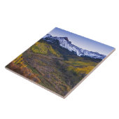 USA, Colorado, Rocky Mountains, San Juan Fliese (Seite)