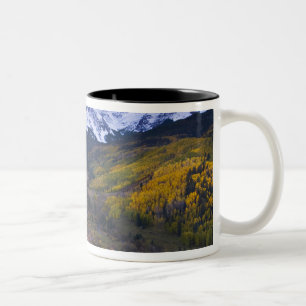 USA, Colorado, Rocky Mountains, San Juan Zweifarbige Tasse