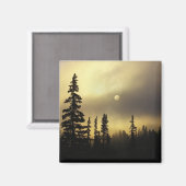 USA, Colorado, San Isabel National Forest. Magnet (Vorderseite/Rückseite)