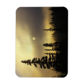 USA, Colorado, San Isabel National Forest. Magnet (Vertikal)