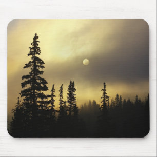 USA, Colorado, San Isabel National Forest. Mousepad