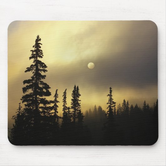 USA, Colorado, San Isabel National Forest. Mousepad (Vorne)