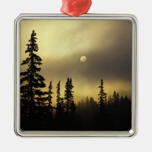 USA, Colorado, San Isabel National Forest. Ornament Aus Metall