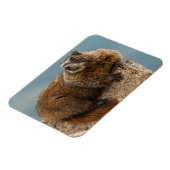 USA, Colorado, San Juan Mountains 2 Magnet (Linke Seite)