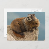 USA, Colorado, San Juan Mountains 2 Postkarte (Vorne/Hinten)