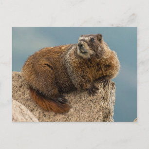 USA, Colorado, San Juan Mountains 2 Postkarte