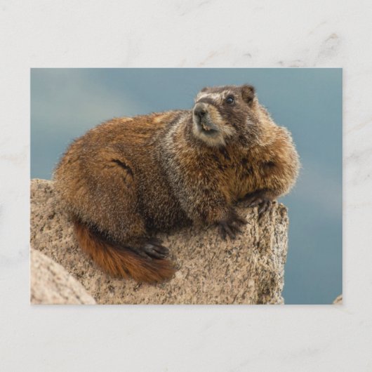 USA, Colorado, San Juan Mountains 2 Postkarte (Vorderseite)