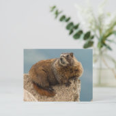 USA, Colorado, San Juan Mountains 2 Postkarte (Stehend Vorderseite)