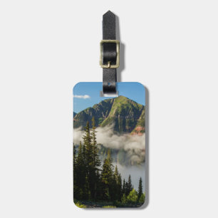 USA, Colorado, San Juan Mountains. Aufklaren Gepäckanhänger
