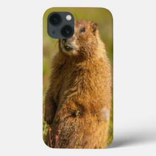USA, Colorado, San Juan Mountains Case-Mate iPhone Hülle
