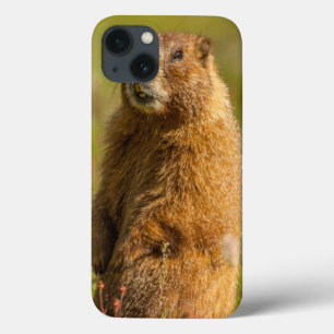 USA, Colorado, San Juan Mountains Case-Mate iPhone Hülle