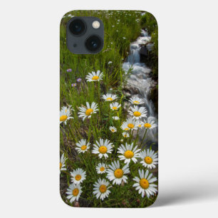 USA, Colorado, San Juan Mountains. Gänseblümchen Case-Mate iPhone Hülle