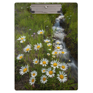 USA, Colorado, San Juan Mountains.Milcherzeugnisse Klemmbrett