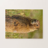 USA, Colorado, San Juan Mountains Puzzle (Horizontal)