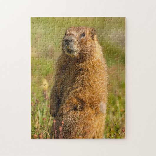 USA, Colorado, San Juan Mountains Puzzle (Vertikal)