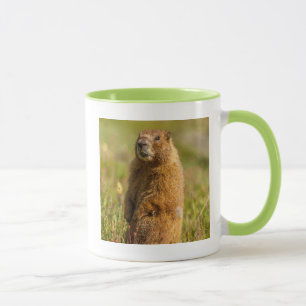 USA, Colorado, San Juan Mountains Tasse