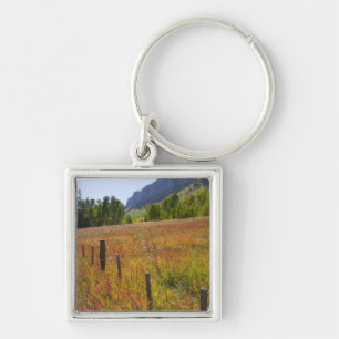 USA, Colorado, San Juan National Forest, entlang Schlüsselanhänger