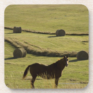 USA, Colorado, Steamboat Springs, Heurollen und Getränkeuntersetzer