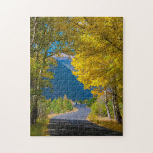 USA, Colorado. Straße flankiert von Espen Puzzle