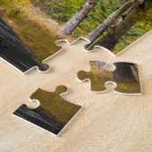 USA, Colorado. Straßenbelag mit Aspen Puzzle (Seite)