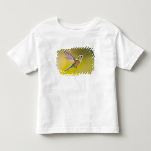 USA, Colorado, Summit County, Heeney. Seitenansich Kleinkind T-shirt