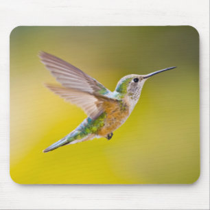 USA, Colorado, Summit County, Heeney. Seitenansich Mousepad