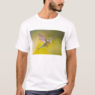 USA, Colorado, Summit County, Heeney. Seitenansich T-Shirt
