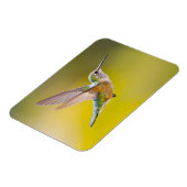 USA, Colorado, Summit Landkreis, Heeney. Seitenans Magnet (Linke Seite)