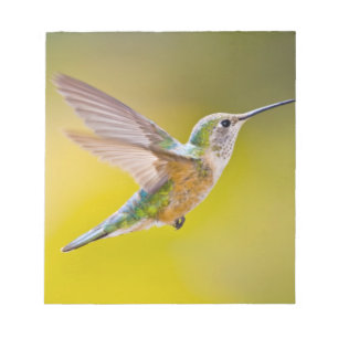 USA, Colorado, Summit Landkreis, Heeney. Seitenans Notizblock