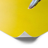 USA, Colorado, Summit Landkreis, Heeney. Seitenans Poster (Ecke)