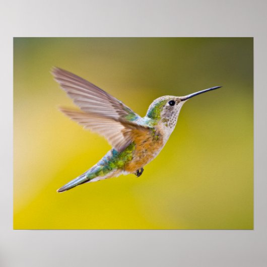 USA, Colorado, Summit Landkreis, Heeney. Seitenans Poster (Vorne)