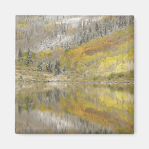 USA, Colorado, White River National Forest, 2 Magnet