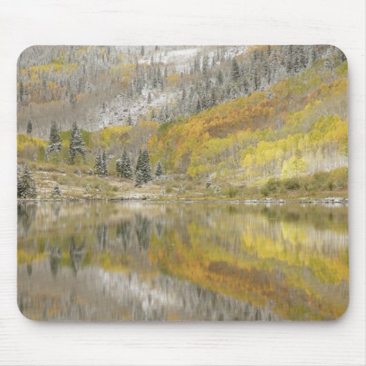 USA, Colorado, White River National Forest, 2 Mousepad (Vorne)