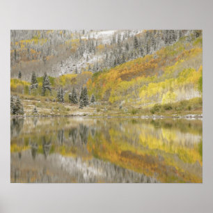 USA, Colorado, White River National Forest, 2 Poster