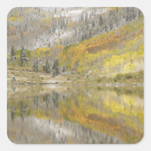 USA, Colorado, White River National Forest, 2 Quadratischer Aufkleber