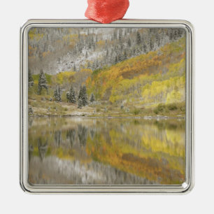 USA, Colorado, White River National Forest, 2 Silbernes Ornament