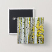 USA, Colorado, White River National Forest, Button (Vorne & Hinten)