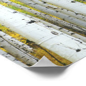 USA, Colorado, White River National Forest, Poster (Ecke)