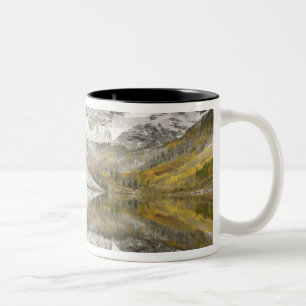 USA, Colorado, White River National Forest, Zweifarbige Tasse
