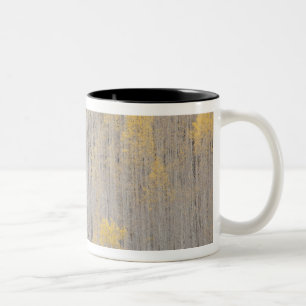 USA, Colorado, White River National Forest. Zweifarbige Tasse