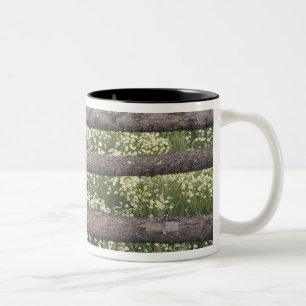 USA, Colorado, Wilde Kamille um einen Blockzaun Zweifarbige Tasse