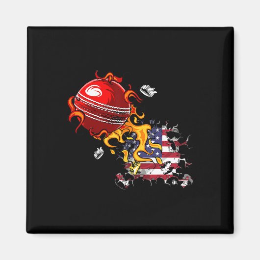 Usa Cricket Magnet (Vorne)